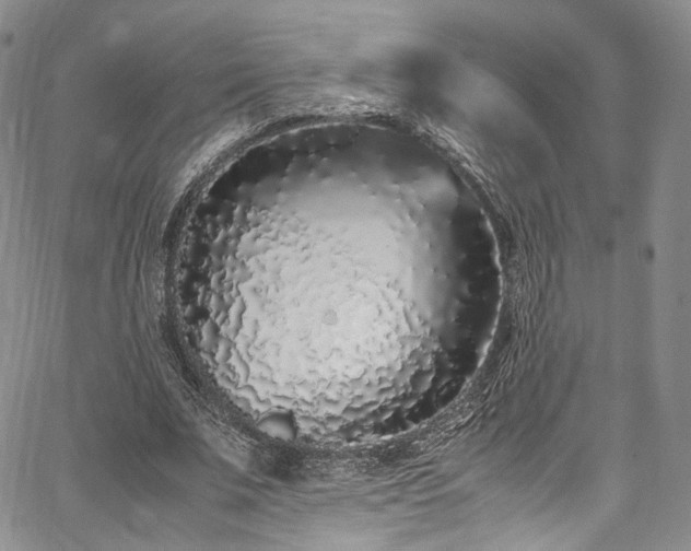 X0000067950679200604201432