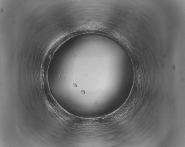 X0000067950680200604201432