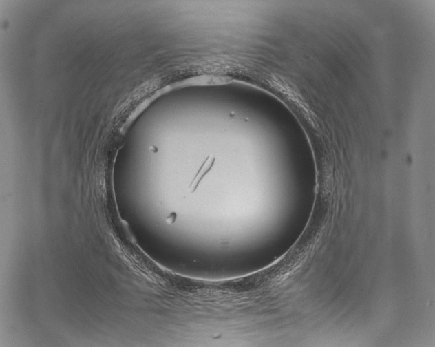 X0000067950681200604201432