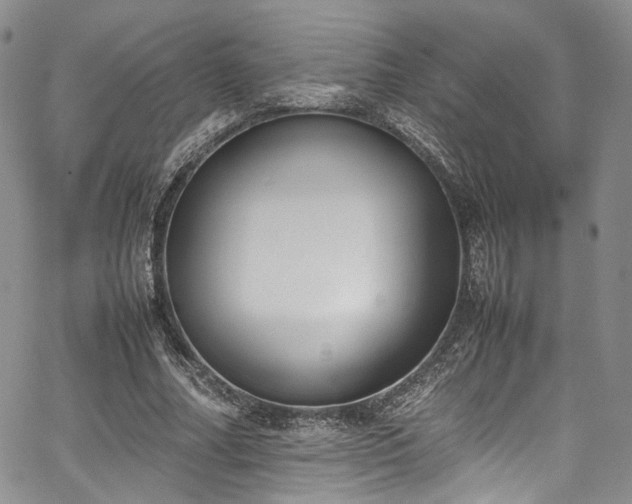 X0000067950682200604201432