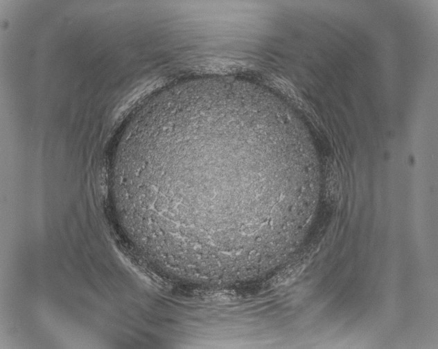 X0000067950683200604201432