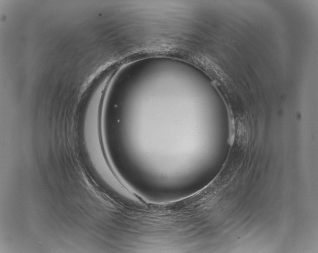 X0000067950684200604201432