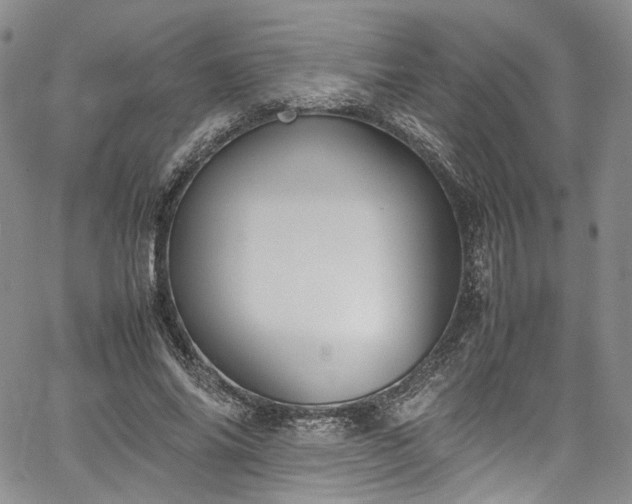 X0000067950686200604201432