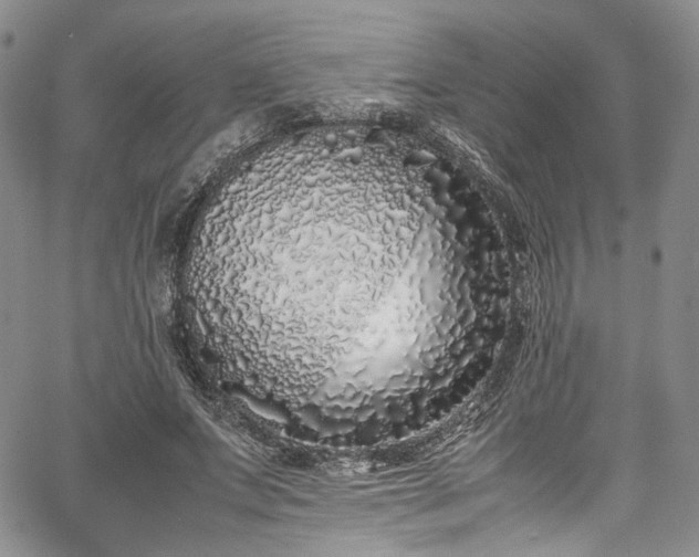 X0000067950687200604201432