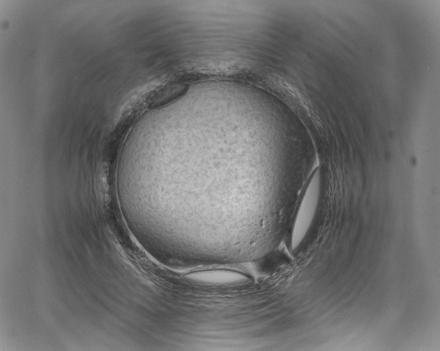 X0000067950688200604201432