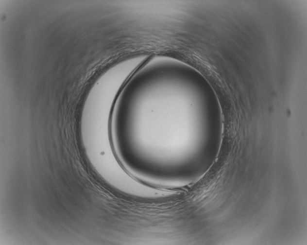 X0000067950689200604201432