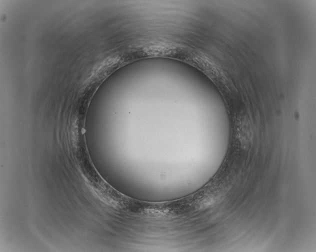 X0000067950690200604201432