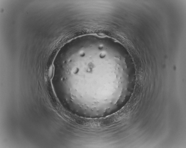 X0000067950691200604201432