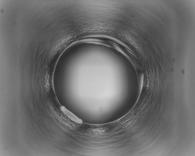 X0000067950692200604201431