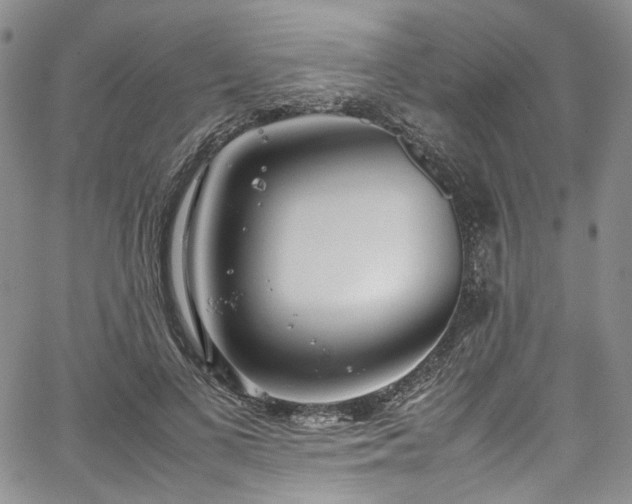 X0000067950693200604201431