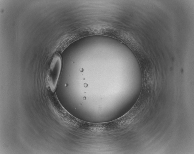 X0000067950694200604201431