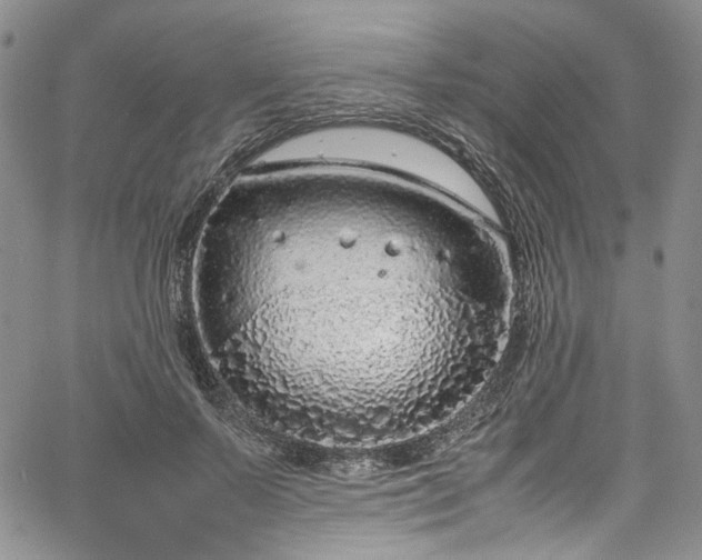 X0000067950695200604201431