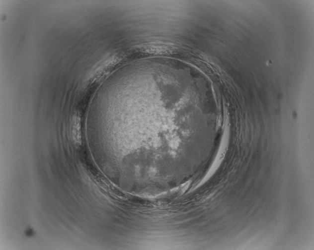 X0000067950696200604201431