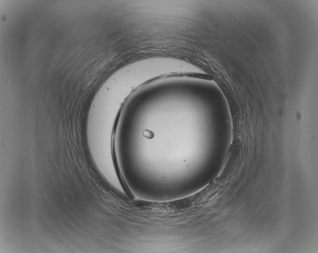 X0000067950697200604201431