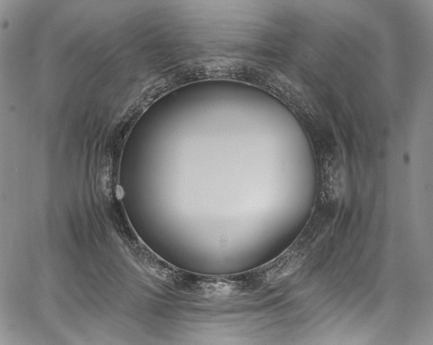 X0000067950698200604201431