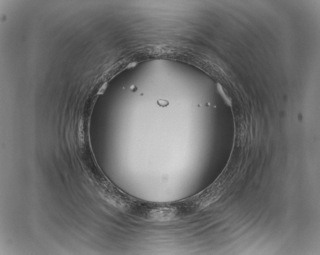 X0000067950700200604201431