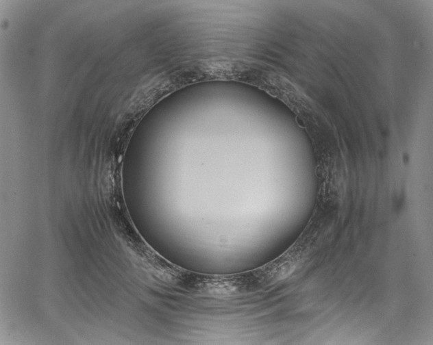 X0000067950702200604201431