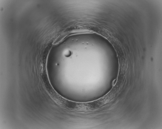 X0000067950703200604201431