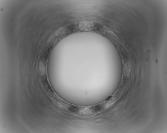 X0000067950705200604201431