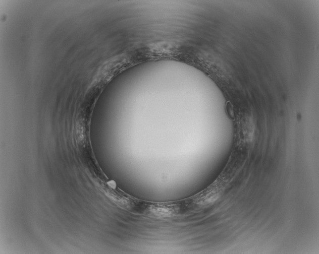 X0000067950706200604201431