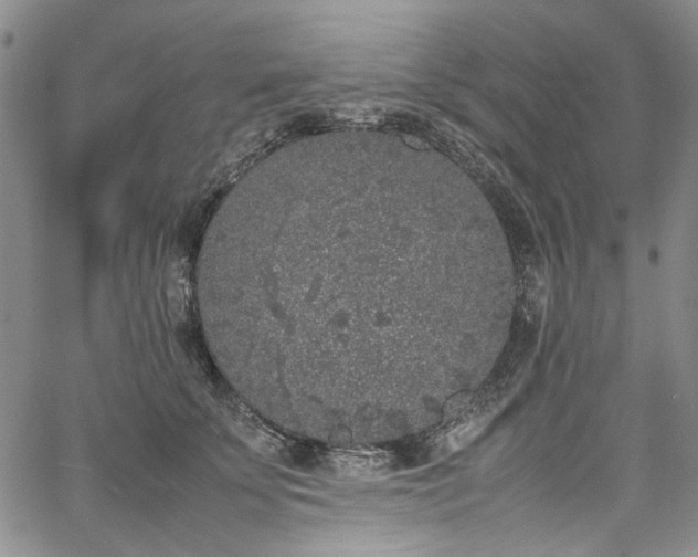 X0000067950707200604201431