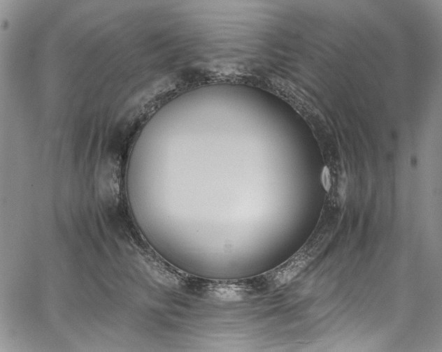 X0000067950710200604201431