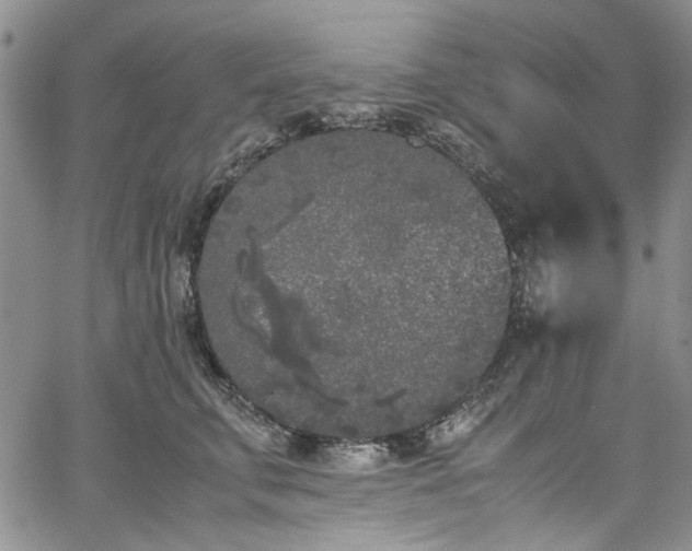 X0000067950711200604201431