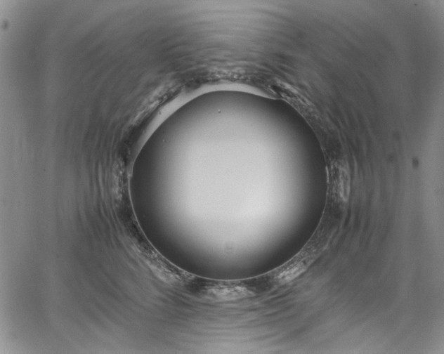 X0000067950712200604201431