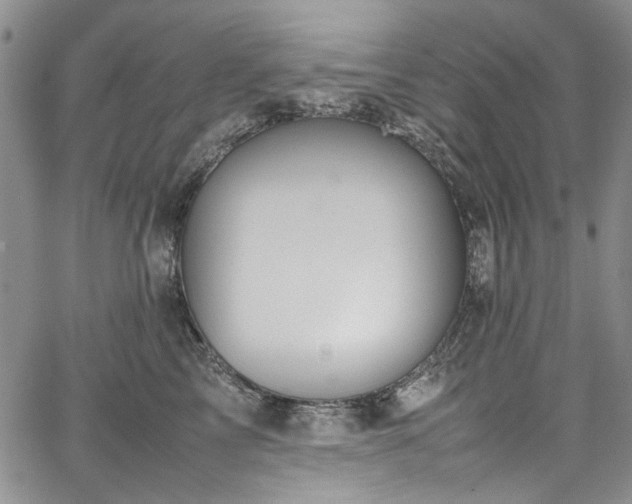 X0000067950713200604201431