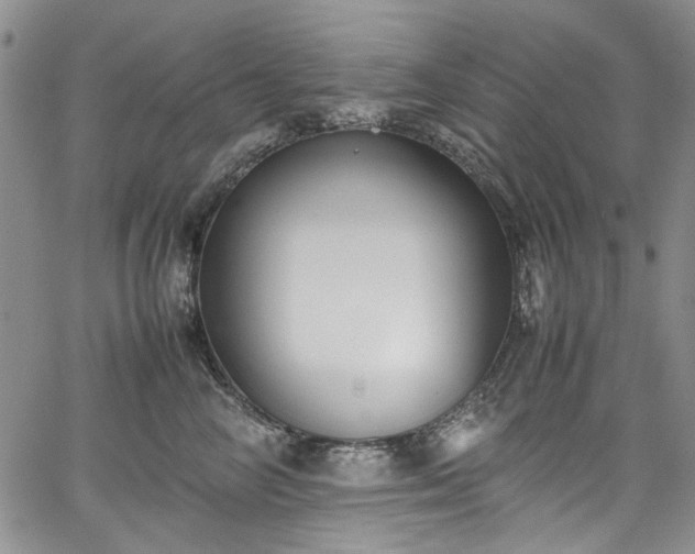 X0000067950714200604201431