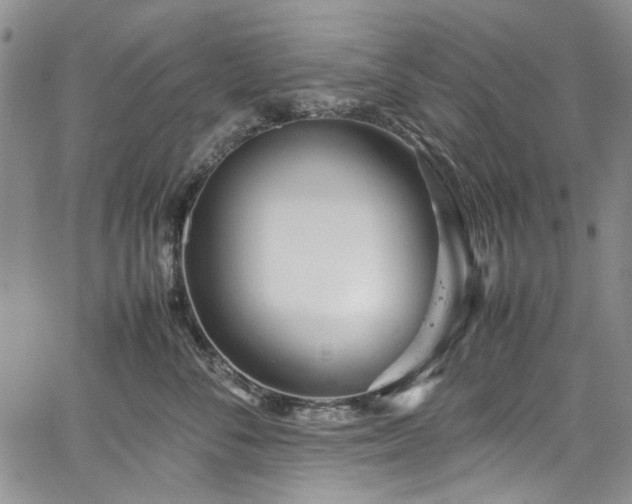 X0000067950716200604201431