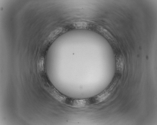 X0000067950717200604201431