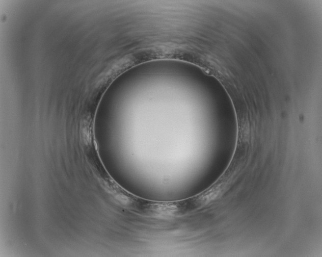 X0000067950719200604201431