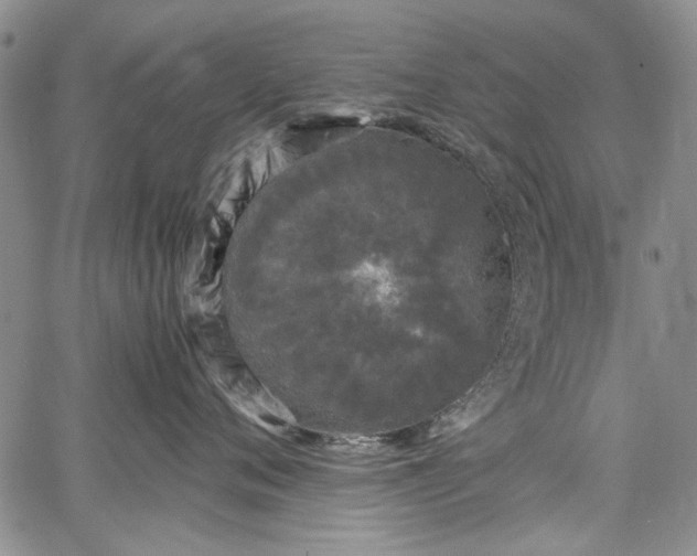 X0000067950720200604201431