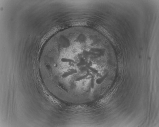 X0000067950721200604201430