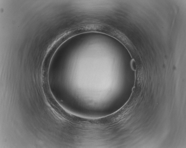 X0000067950722200604201430