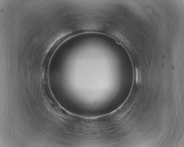 X0000067950723200604201430