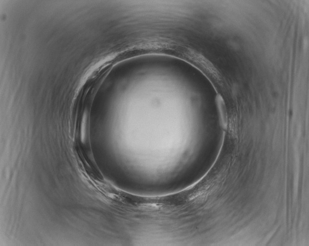 X0000067950724200604201430