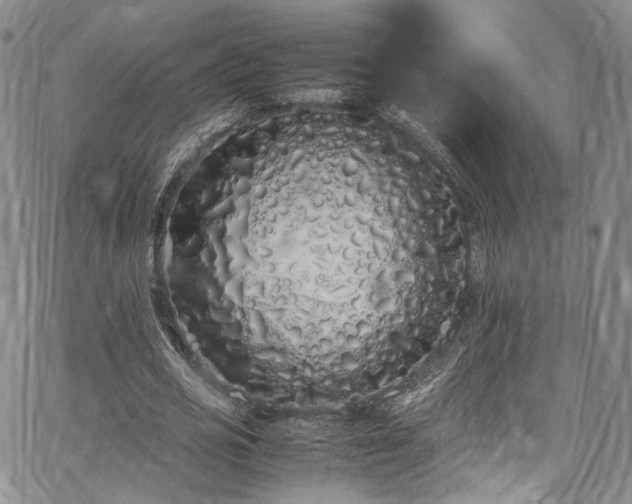 X0000067950725200604201430