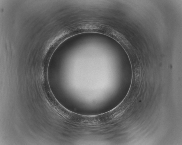 X0000067950727200604201430