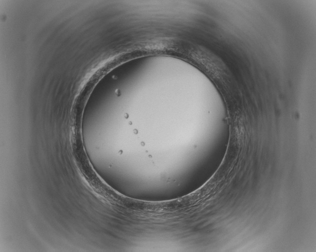 X0000067950728200604201430