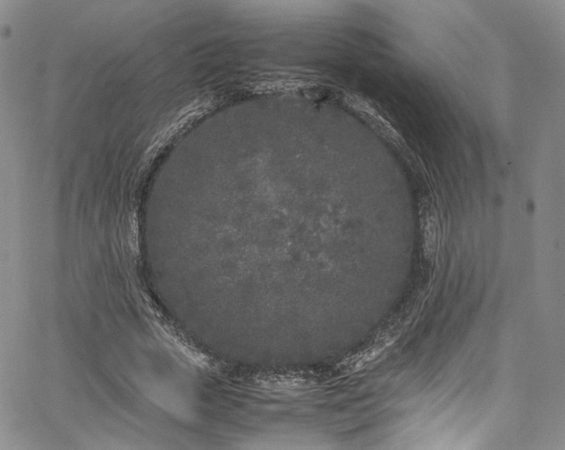 X0000067950729200604201430