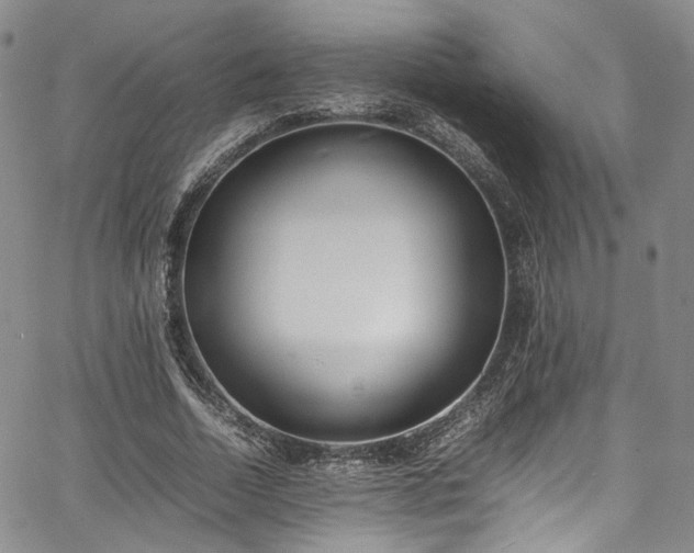 X0000067950730200604201430