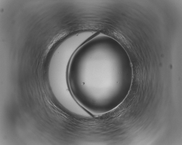 X0000067950731200604201430