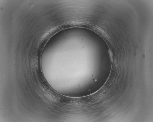 X0000067950732200604201430