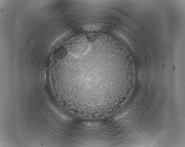 X0000067950733200604201430