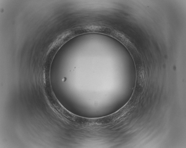 X0000067950734200604201430