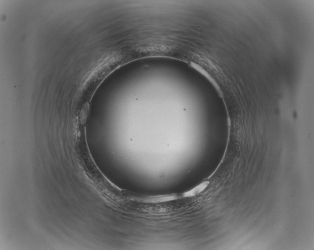 X0000067950735200604201430