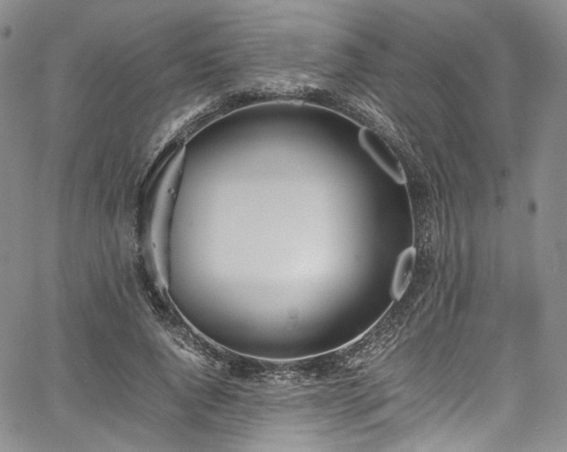 X0000067950736200604201430