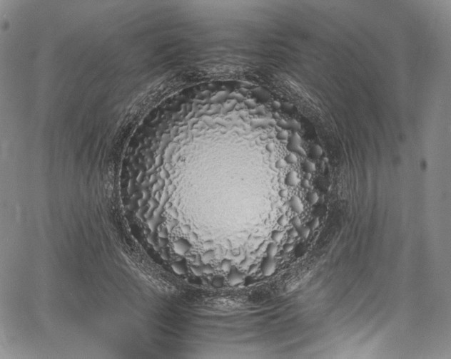 X0000067950737200604201431